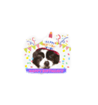 PONスタンプ（ペキチワ）（個別スタンプ：1）