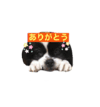 PONスタンプ（ペキチワ）（個別スタンプ：4）
