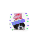 PONスタンプ（ペキチワ）（個別スタンプ：13）