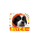 PONスタンプ（ペキチワ）（個別スタンプ：15）