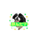 PONスタンプ（ペキチワ）（個別スタンプ：18）