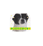 PONスタンプ（ペキチワ）（個別スタンプ：21）