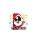 PONスタンプ（ペキチワ）（個別スタンプ：22）