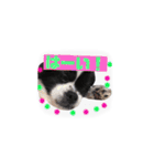 PONスタンプ（ペキチワ）（個別スタンプ：28）