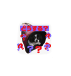 PONスタンプ（ペキチワ）（個別スタンプ：29）