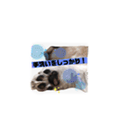 PONスタンプ（ペキチワ）（個別スタンプ：32）