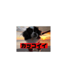 PONスタンプ（ペキチワ）（個別スタンプ：35）