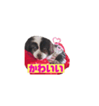 PONスタンプ（ペキチワ）（個別スタンプ：36）