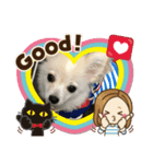 ポメチワ(わた坊)（個別スタンプ：8）