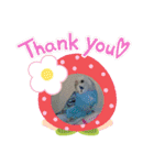 我が家インコDays.（個別スタンプ：3）