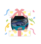 我が家インコDays.（個別スタンプ：6）