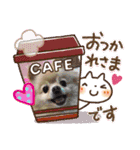 ポメラニアン☆レイン（個別スタンプ：10）