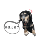 message to my family（個別スタンプ：5）