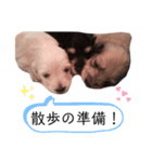 message to my family（個別スタンプ：6）