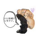 message to my family（個別スタンプ：8）