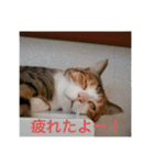 ビーちゃんとミーちゃん（個別スタンプ：4）