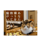 ビーちゃんとミーちゃん（個別スタンプ：7）