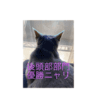 ビーちゃんとミーちゃん（個別スタンプ：13）