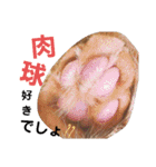 ウチのゆずちゃんのつめあわせ（個別スタンプ：5）