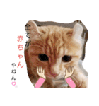 ウチのゆずちゃんのつめあわせ（個別スタンプ：13）