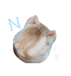 ウチのゆずちゃんのつめあわせ（個別スタンプ：21）