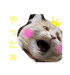 ウチのゆずちゃんのつめあわせ（個別スタンプ：25）