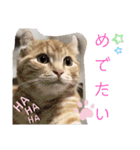 ウチのゆずちゃんのつめあわせ（個別スタンプ：32）