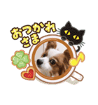 パピヨンベリーの楽しい日常（個別スタンプ：9）