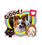 パピヨンベリーの楽しい日常（個別スタンプ：11）