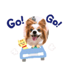 パピヨンベリーの楽しい日常（個別スタンプ：18）