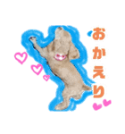 イブちゃんの日常スタンプ（個別スタンプ：3）