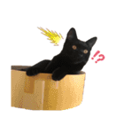 ねこのくみこ と めぐみ（個別スタンプ：21）
