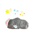 はむスターズ。（個別スタンプ：3）