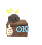 はむスターズ。（個別スタンプ：4）