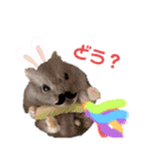 はむスターズ。（個別スタンプ：16）