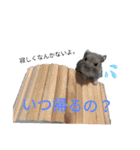 はむスターズ。（個別スタンプ：18）
