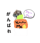 はむスターズ。（個別スタンプ：22）