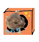 はむスターズ。（個別スタンプ：24）
