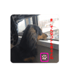 アル様（個別スタンプ：4）