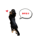 アル様（個別スタンプ：14）