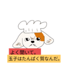 高脂質食料理人Ai.F(アイフ)のスタンプ（個別スタンプ：2）