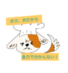 高脂質食料理人Ai.F(アイフ)のスタンプ（個別スタンプ：4）
