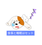 高脂質食料理人Ai.F(アイフ)のスタンプ（個別スタンプ：6）