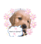 ハルくん♡成長日記（個別スタンプ：4）