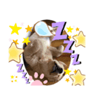 ハルくん♡成長日記（個別スタンプ：8）