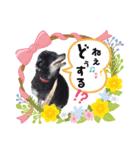 川越家のわんこたち（個別スタンプ：9）