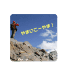 しおしおのすたんぷ（個別スタンプ：6）