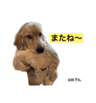 おでん様スタンプ01（個別スタンプ：27）