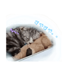 We ♡ PEACE！（個別スタンプ：3）