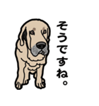 大きな犬 大型犬 スパニッシュマスティフ（個別スタンプ：3）
